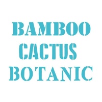Stencil parole Botanic, Cactus e Bamboo 20 x 28,5 cm - Artis decor - 1 unità