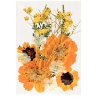 Fiori secchi pressati Mix Golden - Artemio - 12 pz.