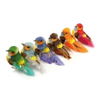 Set di uccellini decorati con pinzette - 6 pezzi.