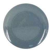 27 cm piatto blu-grigio