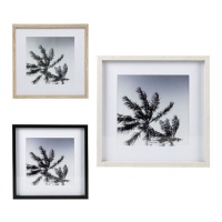 Cornice per foto in bianco e nero Palm Tree Shadow per foto 25 x 25 cm - DCasa