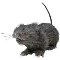 Ratto di 30 cm con pelliccia grigia e luce