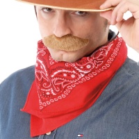 Sciarpa rossa da cowboy 25 cm