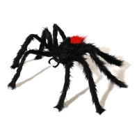 78 cm di ragno peloso nero e rosso