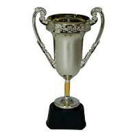 Trofeo di campione di 20 cm