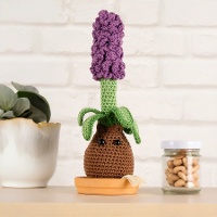 Kit Amigurumi - Giacinto - DMC