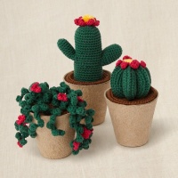 Kit uncinetto con scatola regalo - Collezione Cactus - DMC