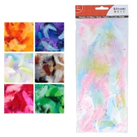 Piume decorative di colori assortiti da 10 gr