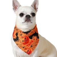Sciarpa con zucca di Halloween per animali domestici