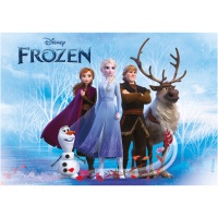 Cialda commestibile Frozen da 14,8 x 21 cm - Dekora