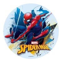 Cialda di zucchero Spiderman da 16 cm