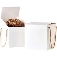 Scatola bianca 21,5 x 21,5 x 21,5 cm per panettone