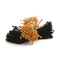 Stami fini per fiori giallo e nero perlato - Decora - 288 unità