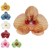 Cialde fiori orchidea da 8,5 x 7,5 cm - Dekora - 10 unità