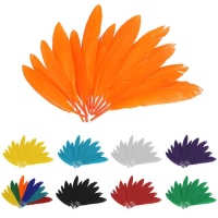 Piume naturali colorate 2,5 x 14 cm - 60 pezzi.