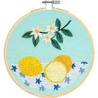 Kit da ricamo - Limoni - DMC