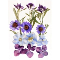 Fiori secchi pressati Mix Purple - Artemio - 12 pz.