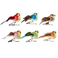 Set di mini uccelli decorati con pinzette - 6 pezzi.