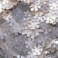Fiocchi di neve scintillanti da 1 gr - PME