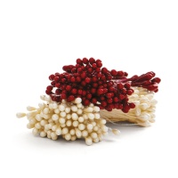 Stami per fiori grandi rosso e bianco perlato - Decorare - 288 pz.