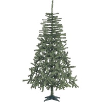 Albero di Natale Douglas da 2,10 m