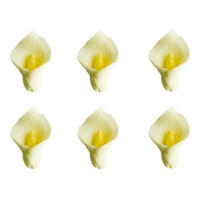 Decorazioni di zucchero calla bianca - Decora - 6 unità