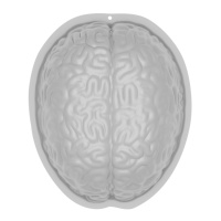 Stampo cervello in plastica - Amscan