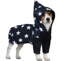 Costume da mago per cane