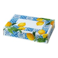 Scatola di 23,5 x 16 x 5 cm di limoni