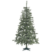 Albero di Natale Douglas da 180 cm