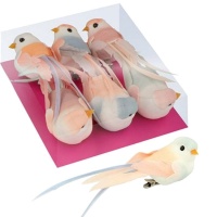 Set di uccelli pastello medi decorati con pinzette - 6 pz.