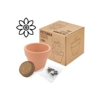 Vaso biologico con semi di Petunia in terracotta