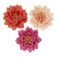 Cialde fiore di loto in 3 colori da 7 cm - Dekora - 15 unità