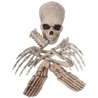 Ossa di scheletro decorative