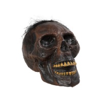 Cranio bruciato con luce di 19 cm