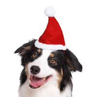 Cappello di Babbo Natale per animali domestici