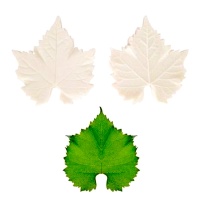 Stampo in silicone per foglie di vite 10 cm - Pastkolor