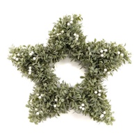 Ghirlanda natalizia di bacche bianche a forma di stella 50 x 7 cm