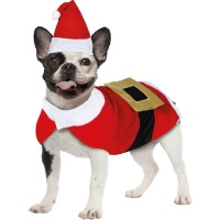 Costume da Babbo Natale per cani