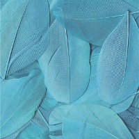 Piume decorative colorate da 3 gr
