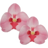 Ostie a forma di Orchidee di 8,5 x 7,5 cm - FunCakes - 10 unità